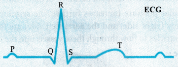 Blood Group Antigens on RBCs Antibodies in Plasma Donor's Group A A Anti-B A, O B B Anti-A B, O AB A, B nil AB, A, B, O O nil Anit-A, B O 3