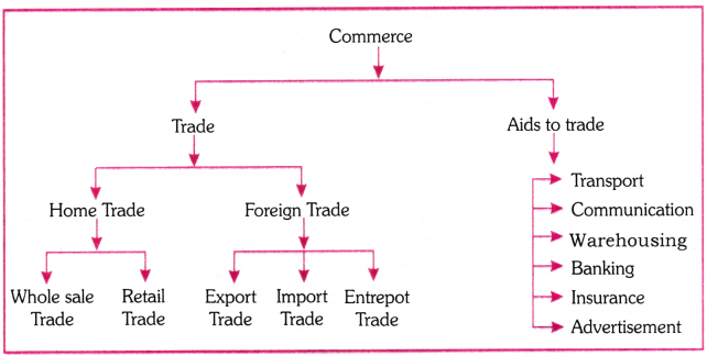 Business Activities Questions and Answers AP Inter 1st Year Commerce Chapter 2 2
