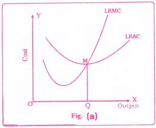 Cost and Revenue Analysis Questions and Answers AP Inter 1st Year Economics Chapter 5 4