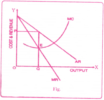 Market Structure Questions and Answers AP Inter 1st Year Economics Chapter 6 10