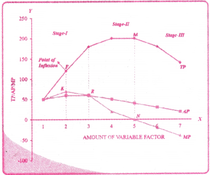 Production Analysis Questions and Answers AP Inter 1st Year Economics Chapter 4 1