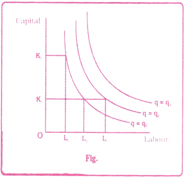 Production Analysis Questions and Answers AP Inter 1st Year Economics Chapter 4 2
