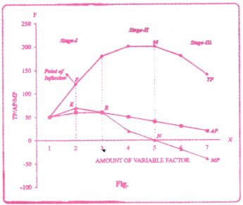 Production Analysis Questions and Answers AP Inter 1st Year Economics Chapter 4 3