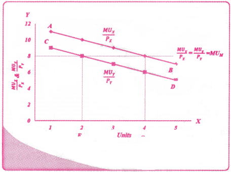 Theory of Consumer Behaviour Questions and Answers AP Inter 1st Year Economics Chapter 2 2