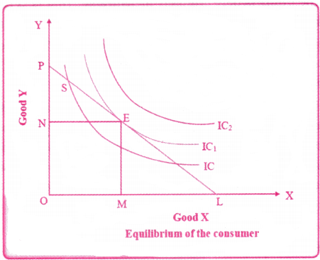 Theory of Consumer Behaviour Questions and Answers AP Inter 1st Year Economics Chapter 2 3