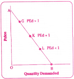 Theory of Demand Behaviour Questions and Answers AP Inter 1st Year Economics Chapter 3 10
